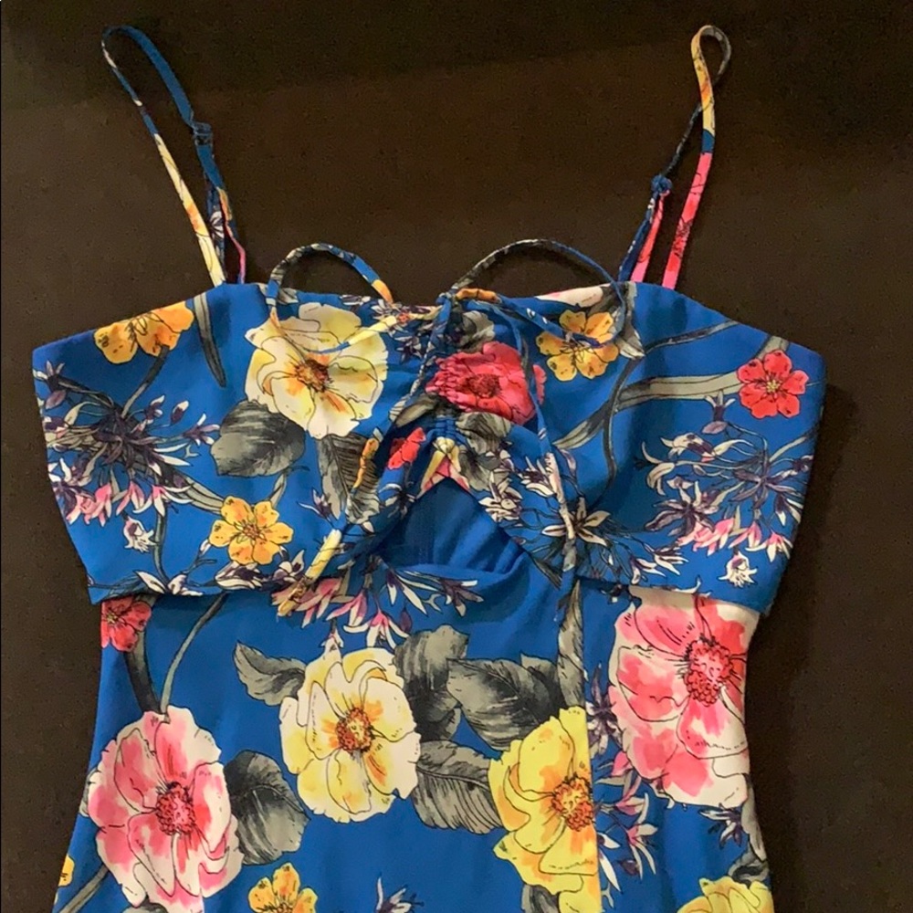 Express Blue Floral Maxi Dress